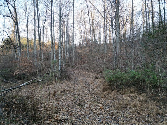 10001 Davis Branch Rd, Bon Aqua, TN 37025