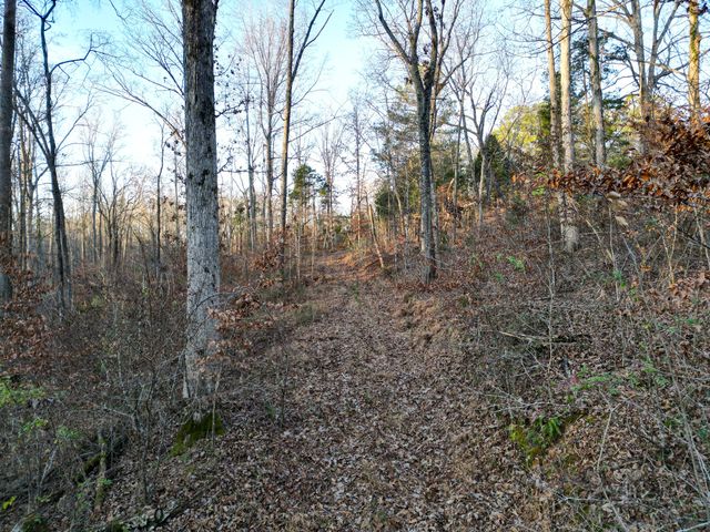 10001 Davis Branch Rd, Bon Aqua, TN 37025