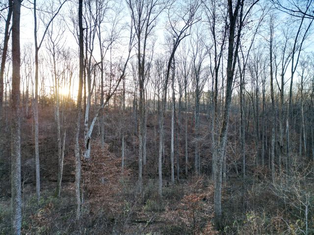 10001 Davis Branch Rd, Bon Aqua, TN 37025