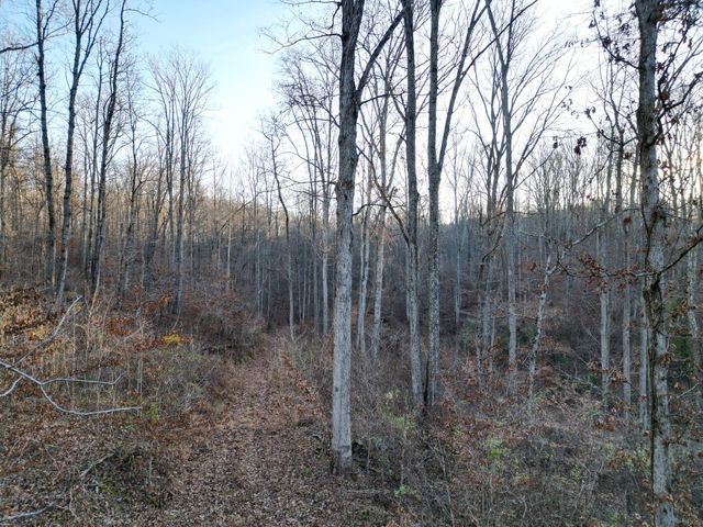 10001 Davis Branch Rd, Bon Aqua, TN 37025