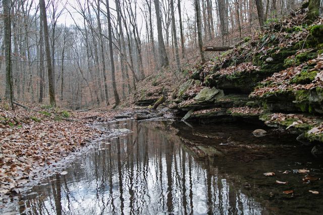 10001 Davis Branch Rd, Bon Aqua, TN 37025