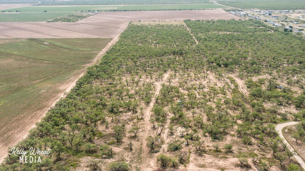 Image 29 of property listing at 11733 N Walnut Grove Road, San Angelo, TX 76901
