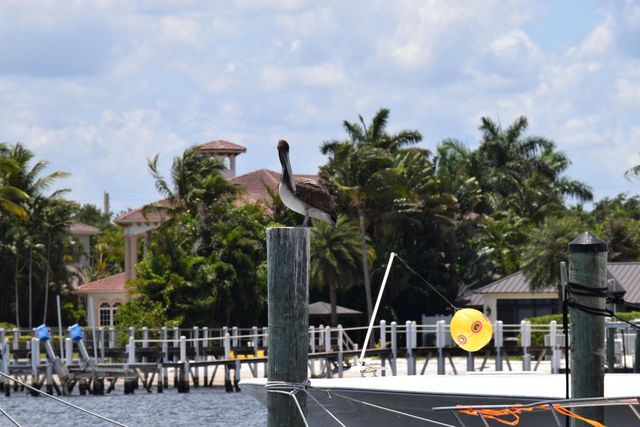 4500 S Ocean Boulevard 309, South Palm Beach, FL 33480