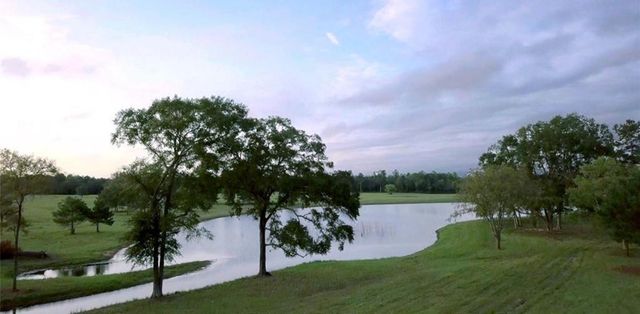 15498 Wood Grove Way, Willis, TX 77378