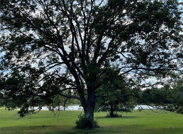 15498 Wood Grove Way, Willis, TX 77378