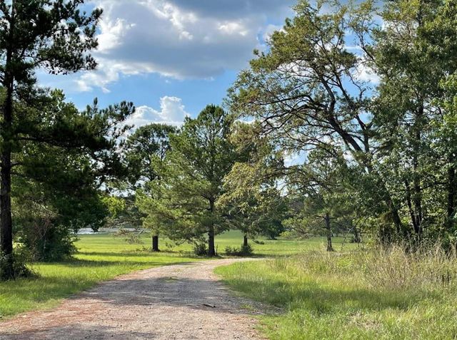 15498 Wood Grove Way, Willis, TX 77378