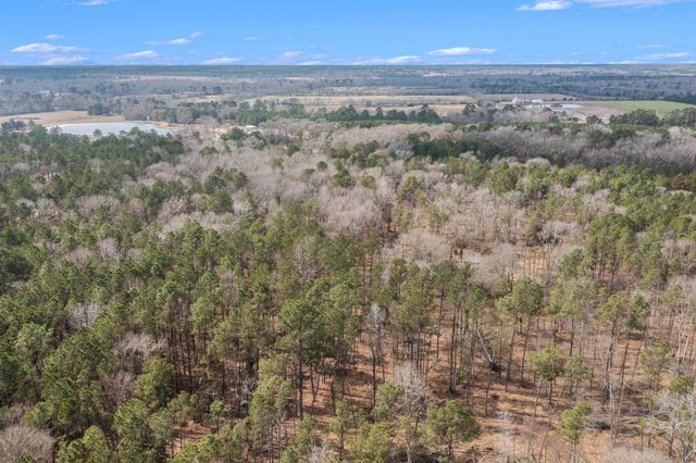 15498 Wood Grove Way, Willis, TX 77378