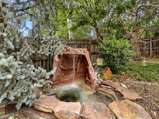 12932 S Carson Court, Parker, CO 80134