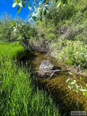 TBD Trumpeter Road, Swan Valley, ID 83449