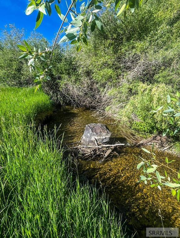 TBD Trumpeter Road, Swan Valley, ID 83449