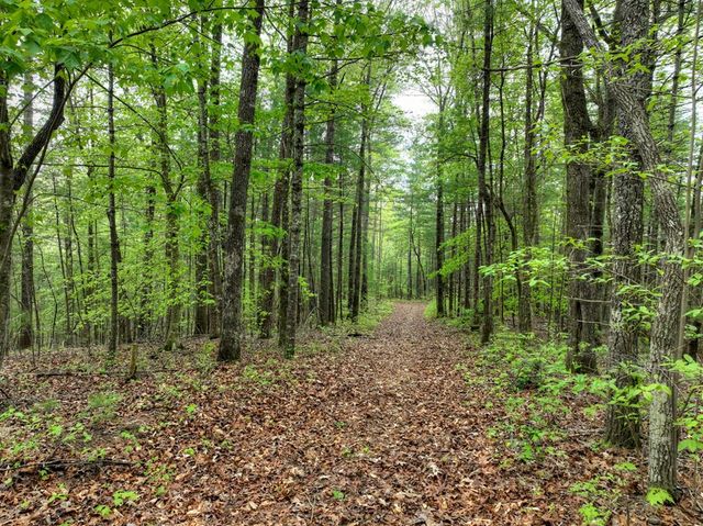 Lot 14 Watersong Trail, Ellijay, GA 30540