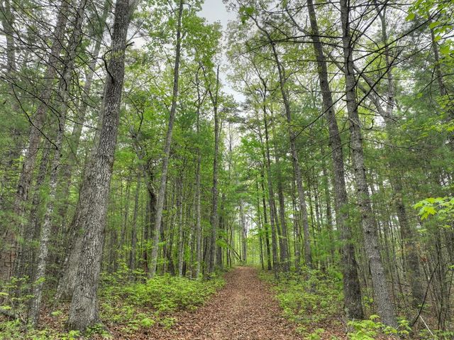 Lot 14 Watersong Trail, Ellijay, GA 30540