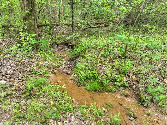 Lot 14 Watersong Trail, Ellijay, GA 30540