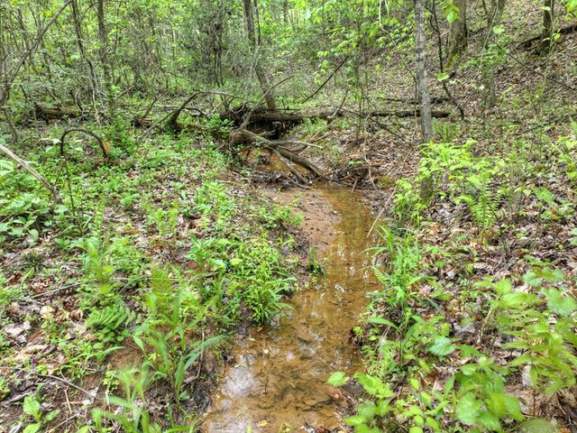 Lot 14 Watersong Trail, Ellijay, GA 30540