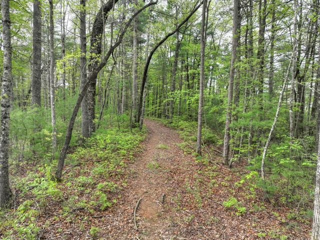 Lot 14 Watersong Trail, Ellijay, GA 30540
