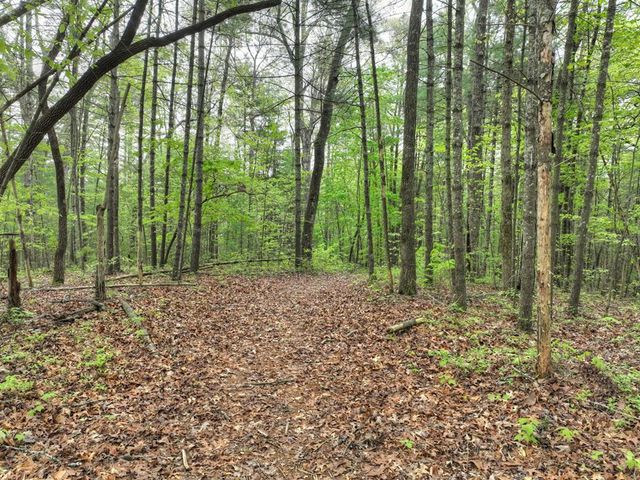Lot 14 Watersong Trail, Ellijay, GA 30540