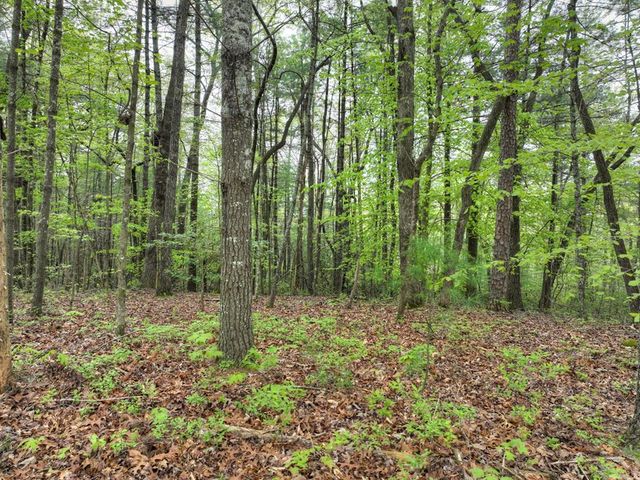 Lot 14 Watersong Trail, Ellijay, GA 30540