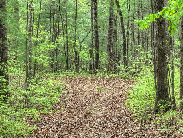 Lot 14 Watersong Trail, Ellijay, GA 30540