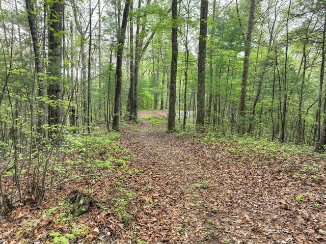 Lot 14 Watersong Trail, Ellijay, GA 30540