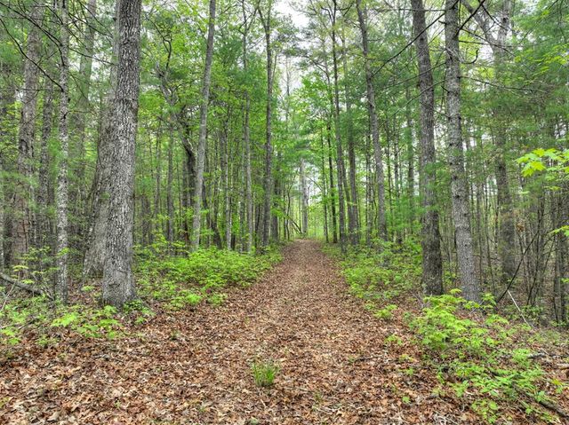 Lot 14 Watersong Trail, Ellijay, GA 30540
