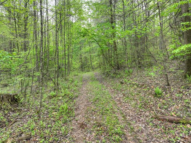 Lot 14 Watersong Trail, Ellijay, GA 30540
