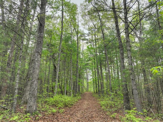 Lot 14 Watersong Trail, Ellijay, GA 30540