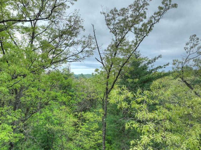 Lot 14 Watersong Trail, Ellijay, GA 30540