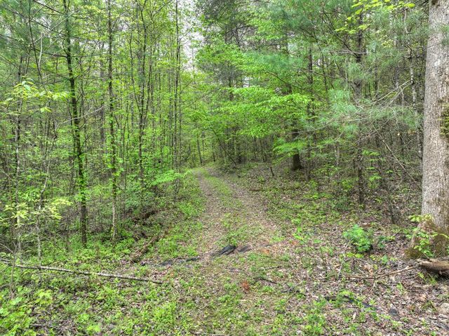 Lot 14 Watersong Trail, Ellijay, GA 30540