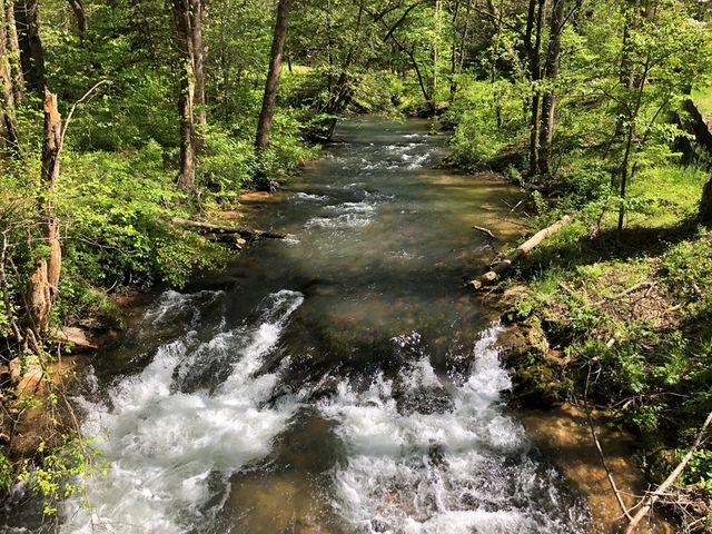 Lot 14 Watersong Trail, Ellijay, GA 30540