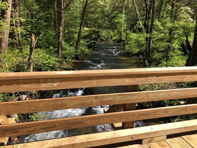 Lot 14 Watersong Trail, Ellijay, GA 30540