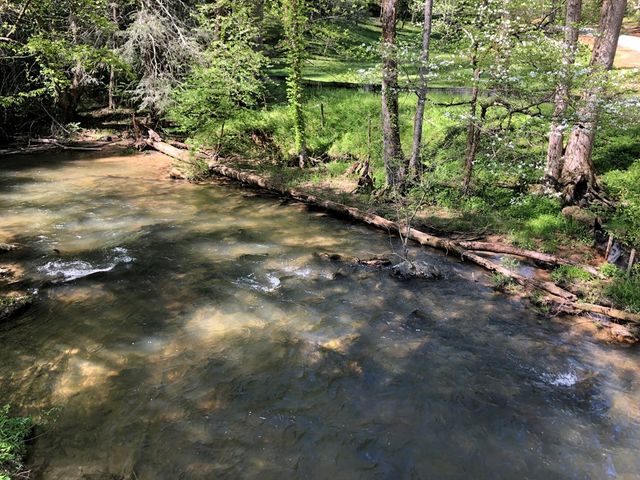 Lot 14 Watersong Trail, Ellijay, GA 30540