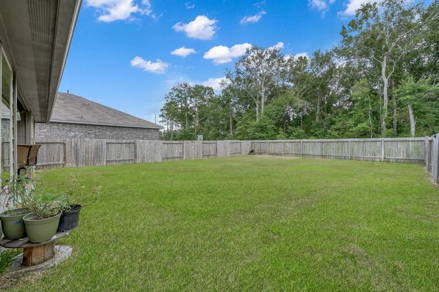 20874 Olive Leaf Street, New Caney, TX 77357