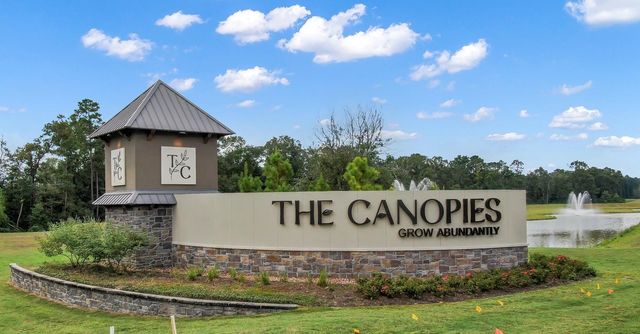 20874 Olive Leaf Street, New Caney, TX 77357