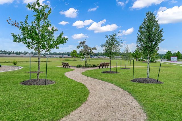 20874 Olive Leaf Street, New Caney, TX 77357