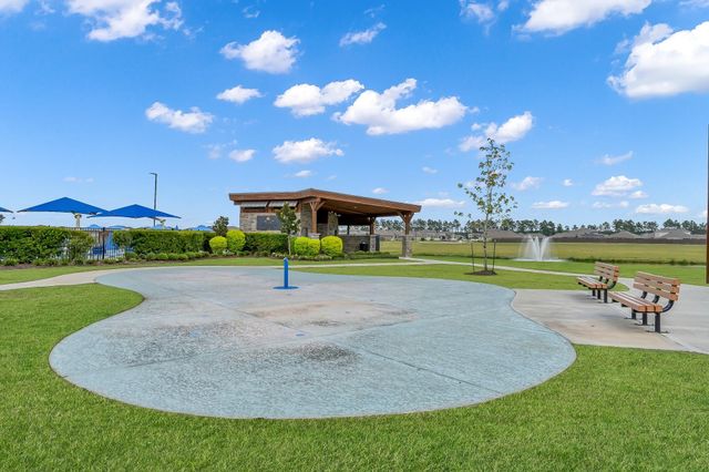 20874 Olive Leaf Street, New Caney, TX 77357