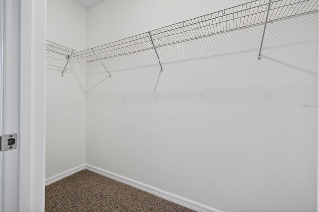 31264 PAPER BIRCH STREET, Wesley Chapel, FL 33545