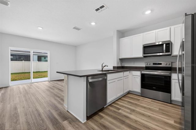 31264 PAPER BIRCH STREET, Wesley Chapel, FL 33545