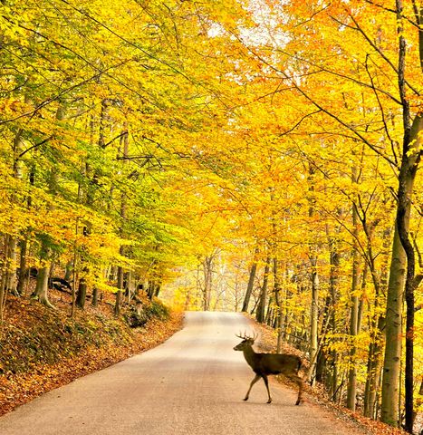 1015 Taos Lane, Hide A Way Hills, OH 43107