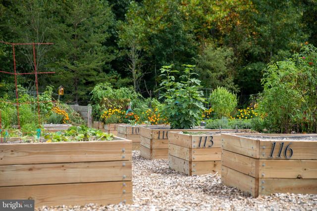 2857 DRAGON FLY, Odenton, MD 21113