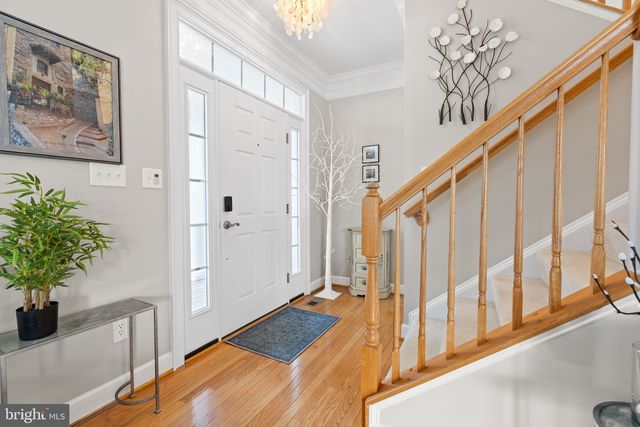 16251 JOHN ROWLAND TRL, Milton, DE 19968