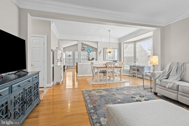 16251 JOHN ROWLAND TRL, Milton, DE 19968