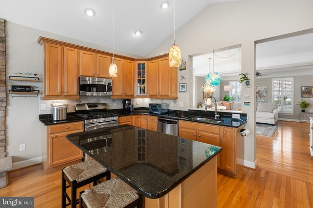 16251 JOHN ROWLAND TRL, Milton, DE 19968