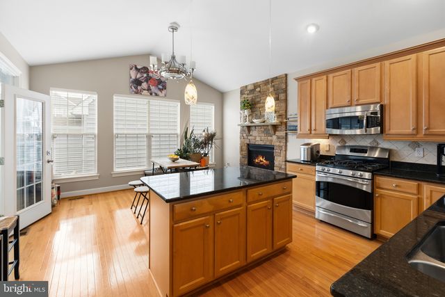 16251 JOHN ROWLAND TRL, Milton, DE 19968