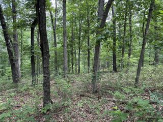 Lot 7 Eccleston Lane, Bella Vista, AR 72714