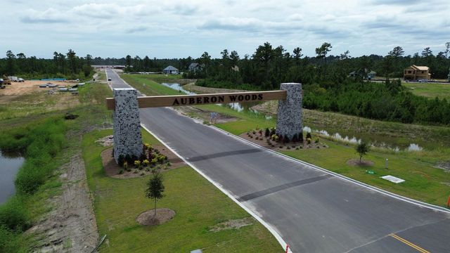 3041 Berry Bush Way, Conway, SC 29526