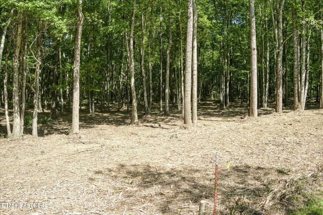 1169 Terry Lane, Jamestown, TN 38556