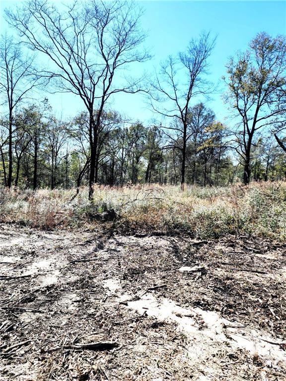 0 Hampton Road, Mobile, AL 36608 — photo 2