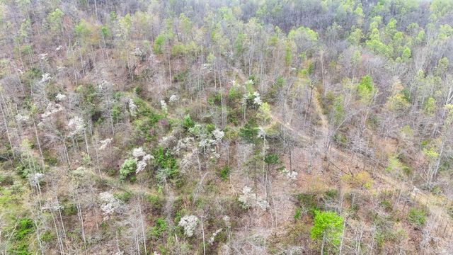 560 Davis Drive, Olive Hill, KY 41164