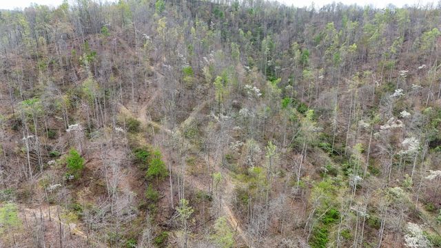 560 Davis Drive, Olive Hill, KY 41164