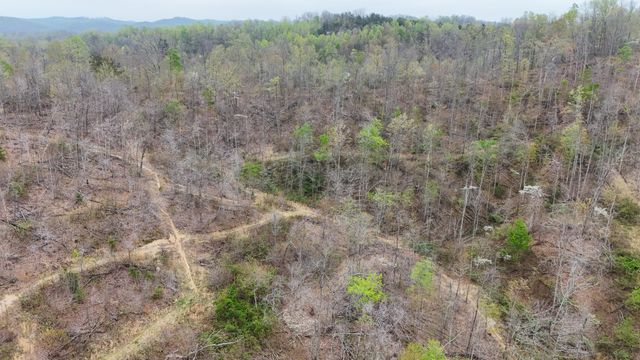 560 Davis Drive, Olive Hill, KY 41164